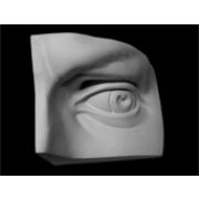 Глаз Давида левый (гипс)