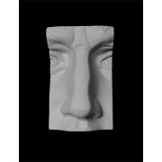 Нос Давида (гипс) 18*13*27см