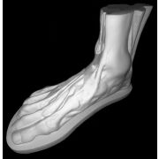 Стопа анатомическая (гипс) большая ПП