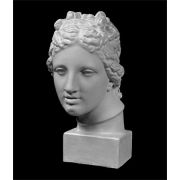 Голова Венеры Медицейской (гипс) 17х18х32,5