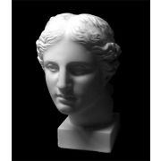 Голова Венеры Милосской (гипс) 22x27x35см