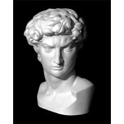Голова Давида (Микеланджело) (гипс) 30*26*46см