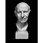 Голова римлянина (гипс) 25*25*60см