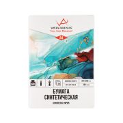 Папка с синтетической бумагой Vista-Artista A4 200г/м2 10л