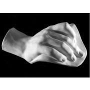 Кисть Давида (гипс)