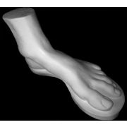 Гипсовый слепок частей тела стопа Геракла 37*15*22см