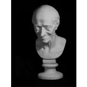 Голова Вольтера (гипс) 20*20*48см