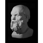 Голова Сократа (гипс) 20*20*38,5см