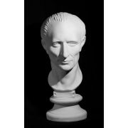 Голова Цезаря (гипс) 20*20*52см