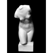 Торс Афродиты (Венеры) (гипс) 18*18*42см