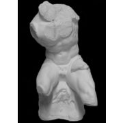 Торс Бельведерский (гипс) 22*24*43см