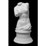 Торс Венеры Милосской (гипс) 20*20*36см