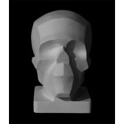 Череп обобщенных плоскостей (гипс) 16*17*22см