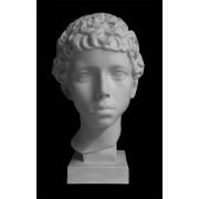 Голова Мальчика ливийца (гипс) 20*22*34см