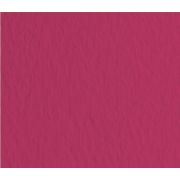 Бумага для пастели Tiziano 50х65 160г Фиолетовый