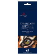 Набор карандашей цветных Vista-Artista Gallery 24цв