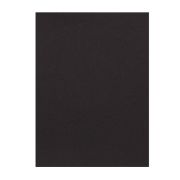 Картон цветной Vista-Artista А3 300г черный
