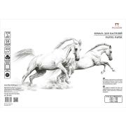 Бумага для пастели «Палаццо» 35х50 160г Snow белоснежный