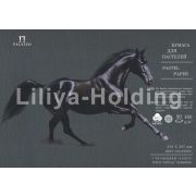 Бумага для пастели «Палаццо» 35х50 160г Graphite графит