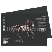 Бумага для пастели «Палаццо» 35х50 160г Ground черный