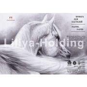 Бумага для пастели «Палаццо» 35х50 160г Ice белый лед