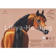 Бумага для пастели «Палаццо» 35х50 160г Latte бежевый