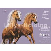 Бумага для пастели «Палаццо» 35х50 160г Lavanda темно-розовый