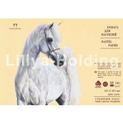 Бумага для пастели «Палаццо» 35х50 160г Sand песочный