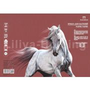 Бумага для пастели «Палаццо» 35х50 160г Beaujolais божоле
