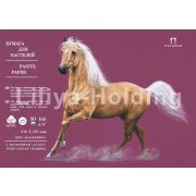 Бумага для пастели «Палаццо» 35х50 160г Blackberry ежевичный