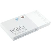 Набор пастели сухой Гамма 24цв серые оттенки