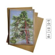 Папка для смешанных техник «Сосны» А3 св.-корич. 200г/м2 15л