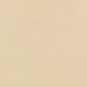 Бумага для пастели Lana 29.7х42см 160г Кремовый