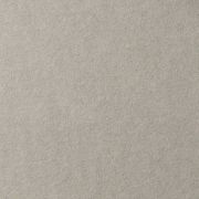 Бумага для пастели Lana 29.7х42см 160г Холодный серый