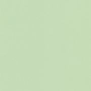 Картон цветной Vista-Artista А3 300г темно-зеленый