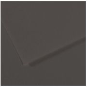Бумага для пастели Mi-Teintes 50х65 160гр №184 Угольный