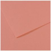 Бумага для пастели Mi-Teintes 50х65 160гр №352 Розовая орхидея