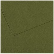 Бумага для пастели Mi-Teintes 50х65 160гр №448 Зеленый плющ