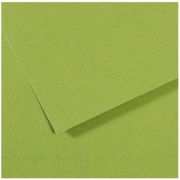 Бумага для пастели Mi-Teintes 50х65 160гр №475 Зеленое яблоко