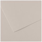 Бумага для пастели Mi-Teintes 50х65 160гр №120 Серый перламутр