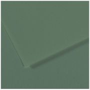 Бумага для пастели Mi-Teintes 50х65 160гр №190 Зеленый шалфей