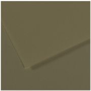 Бумага для пастели Mi-Teintes 50х65 160гр №191 Оливковый