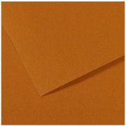 Бумага для пастели Mi-Teintes 50х65 160гр №502 Коричневый Гавана