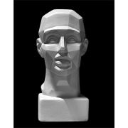 Обрубовка малая по Гудону (гипс) 7х8,5х14х5 ПП