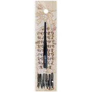 Набор перьев каллиграфических ArtSpase 6шт с держателем круглые