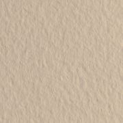 Бумага для пастели Tiziano 50х65 160г Бледно-кремовый