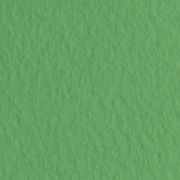 Бумага для пастели Tiziano 50х65 160г Зеленый