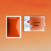 Акварель в кювете «БН» Тициановая 2,5мл