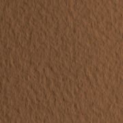 Бумага для пастели Tiziano 50х65 160г Кофейный