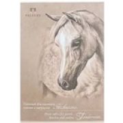 Планшет для эскизов «Нежность» А5 200г 20л